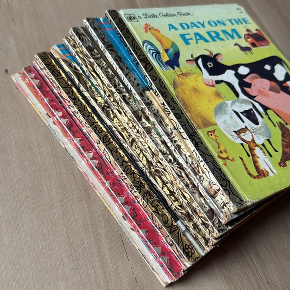 Collection - Multicolor - Picture 13 of 17